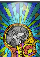 materia grigia cervello